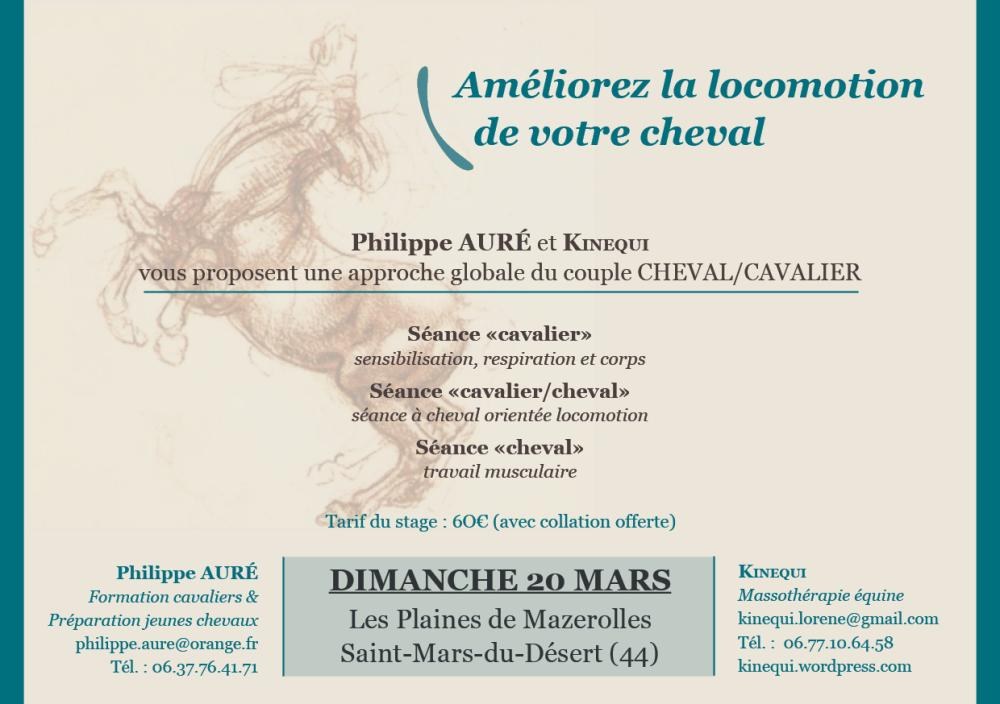 Flyer du stage « Améliorez la locomotion de votre cheval »